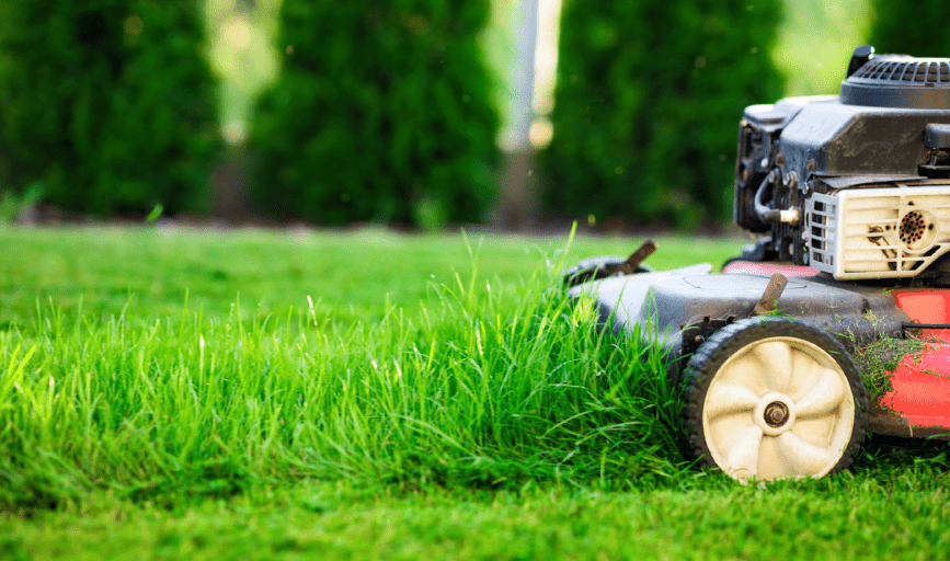 LAWN MOWING